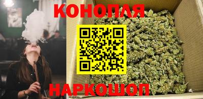 дживик Гудермес
