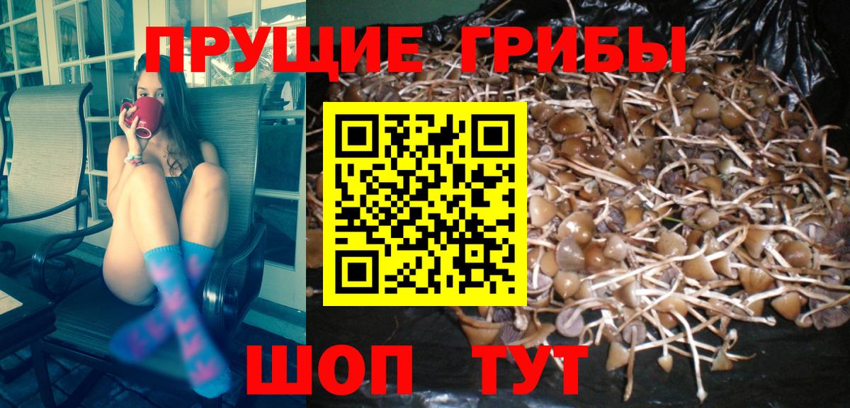 Галлюциногенные грибы ЛСД  Вход с VPN  Бийск  Псилоцибиновые грибы мицелий 