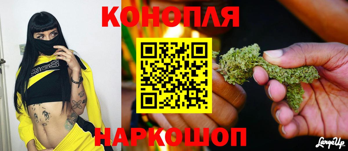 Конопля MAZAR Бийск